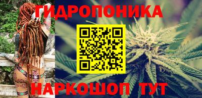 индика Первоуральск