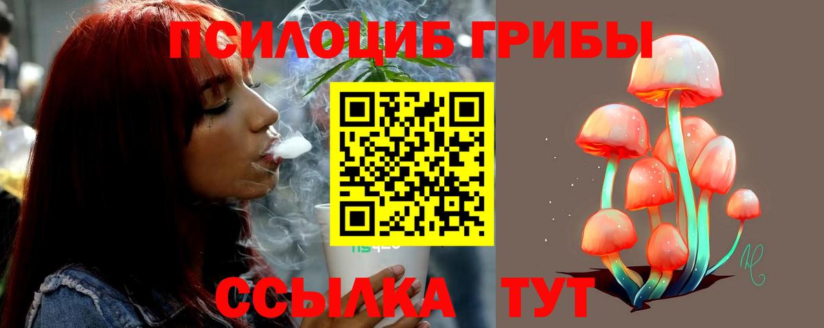 Галлюциногенные грибы мицелий Тавда